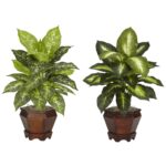 Dieffenbachia w Wood Vase Silk Plant Set of 2