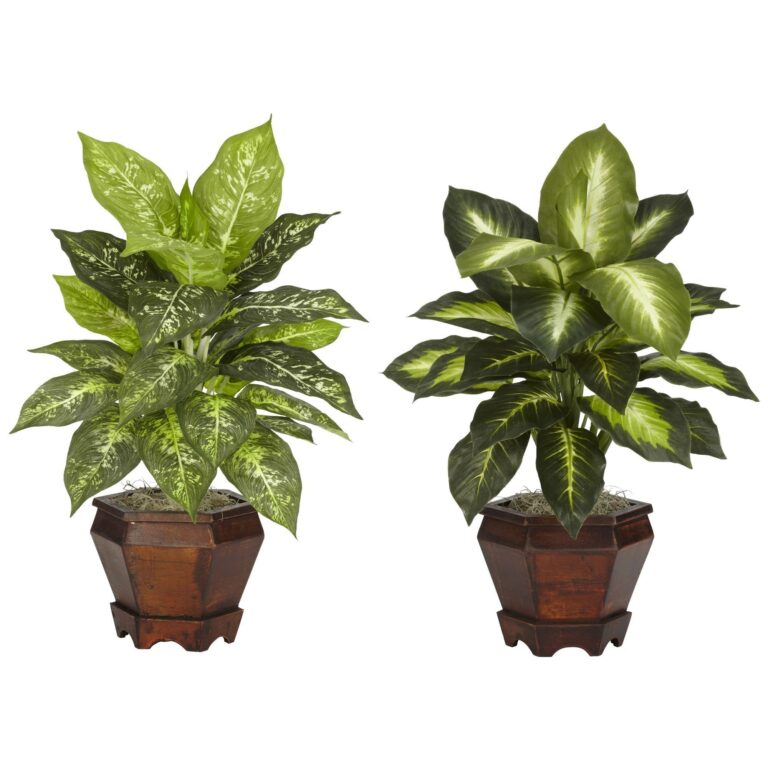 Dieffenbachia w Wood Vase Silk Plant Set of 2