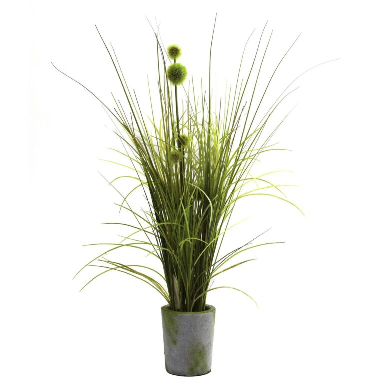 Grass and Dandelion w Cement Planter