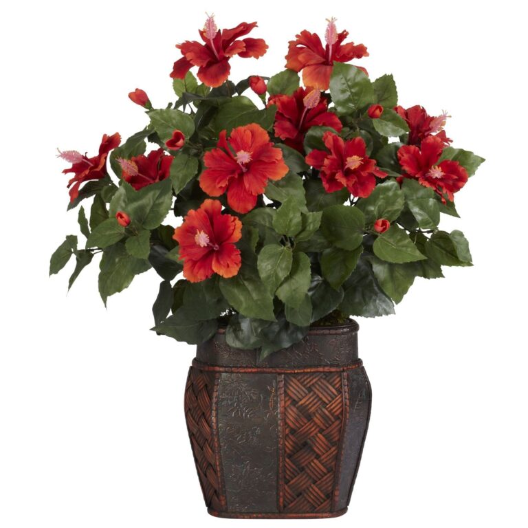 Hibiscus w Vase Silk Plant