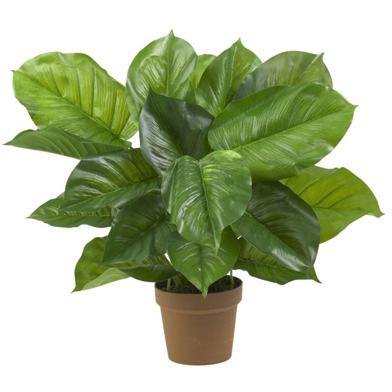 Large Leaf Philodendron Silk Plant Real Touch