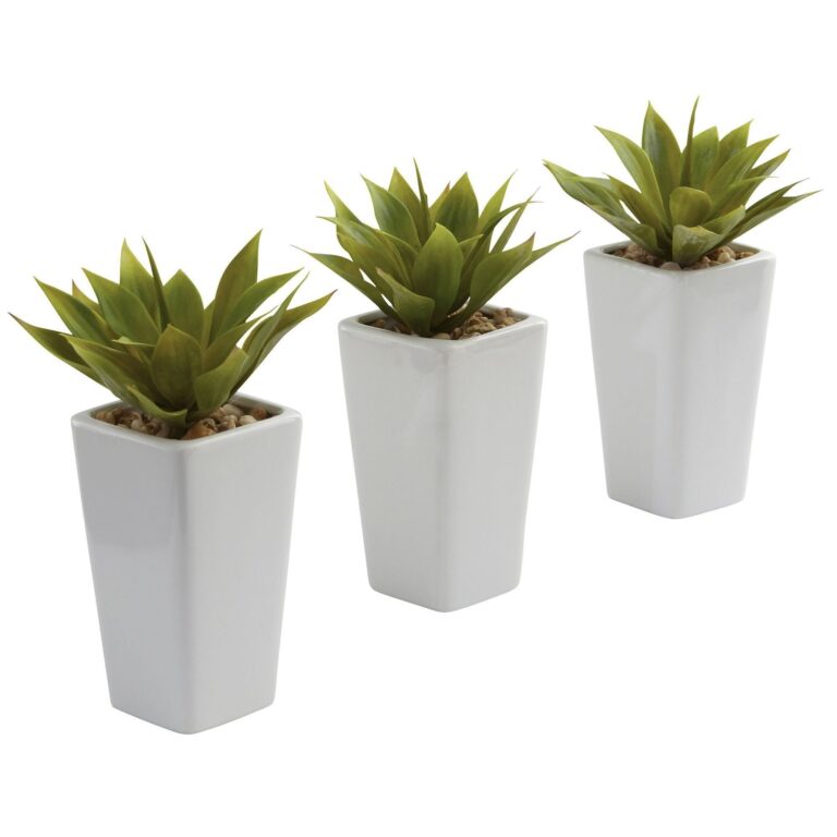 Mini Agave w Planter Set of 3 White