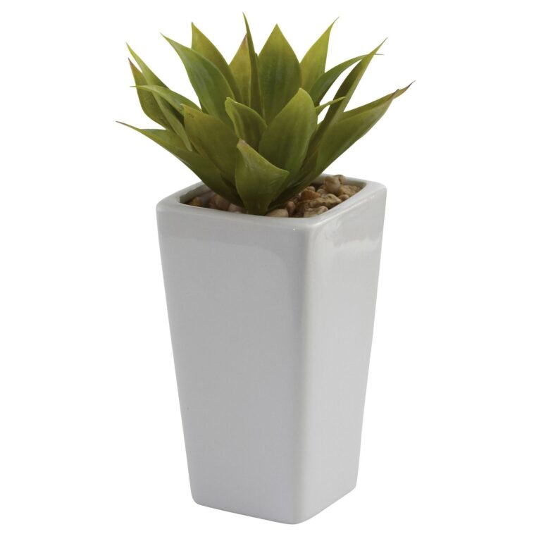 Close-up of leaf foliage texture on this Mini Agave w Planter Set of 3 White