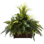 Mixed Grass and River Fern w Wood Planter