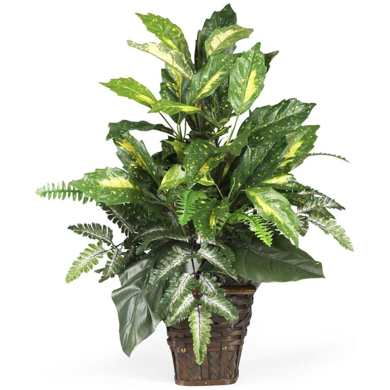 Mixed Greens w Wicker Silk Plant