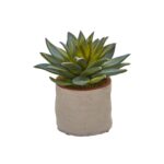 Detail view of planter detail from the Mixed Succulent Artificial Plant Set of 4