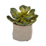 Close-up of leaf foliage texture on this Mixed Succulent Artificial Plant Set of 4