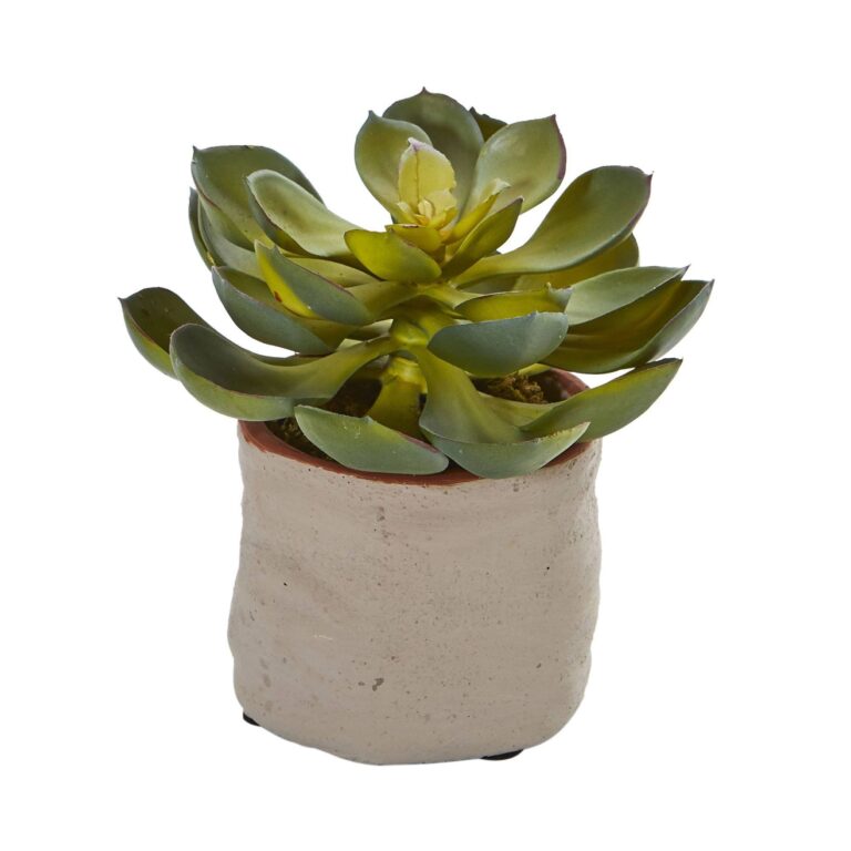 Close-up of leaf foliage texture on this Mixed Succulent Artificial Plant Set of 4