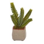Alternate angle of the Mixed Succulent Artificial Plant Set of 4 showing full plant from
