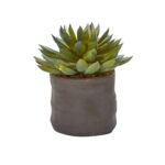 Close-up of leaf foliage texture on this Mixed Succulent Trio Artificial Plant Set of 3
