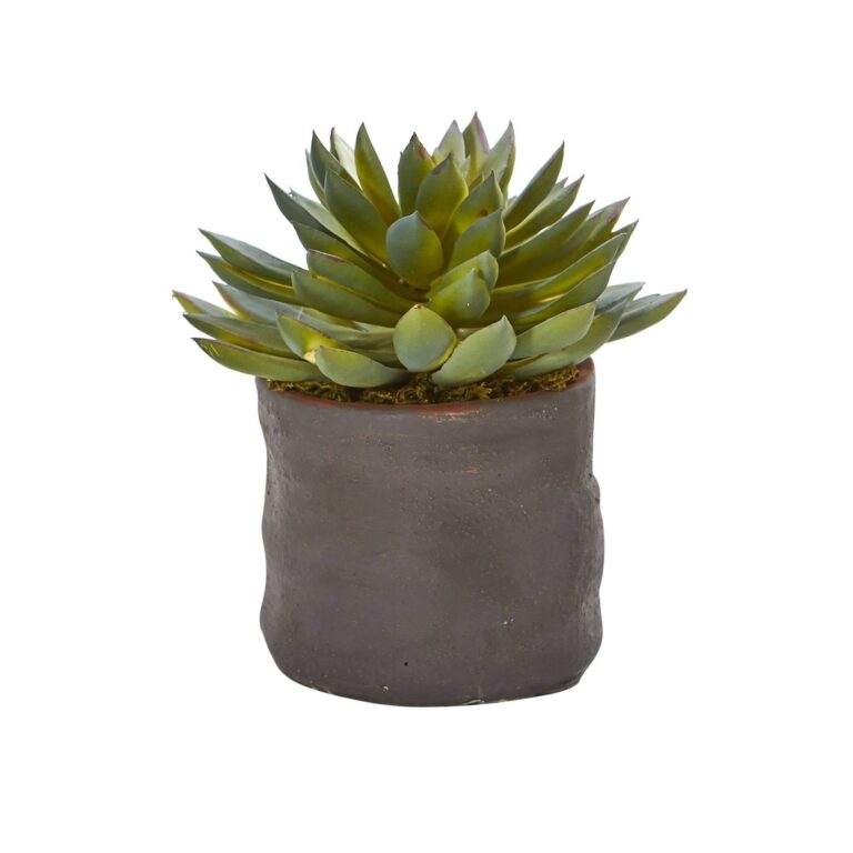 Close-up of leaf foliage texture on this Mixed Succulent Trio Artificial Plant Set of 3
