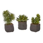 Mixed Succulent Trio Artificial Plant Set of 3