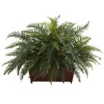 River Fern w Wood Planter