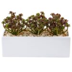 Sedum in Rectangular Planter artificial plant for home decor