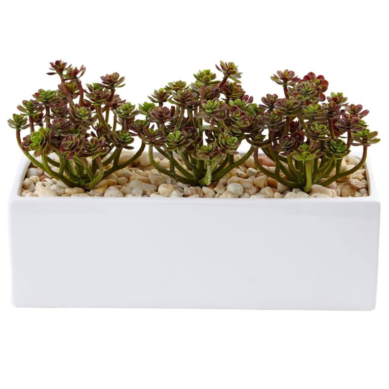 Sedum in Rectangular Planter artificial plant for home decor