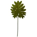 Selloum Philo Single Leaf Stem Set of 12