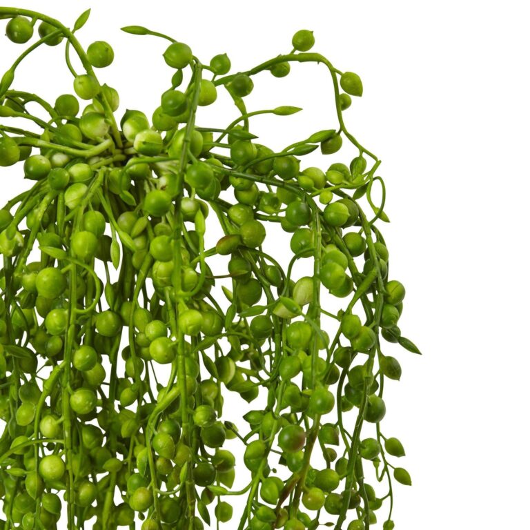 Close-up of craft detail close-up on this Senecio Artificial Succulent Set of 3