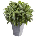 Silver King w Slate Planter