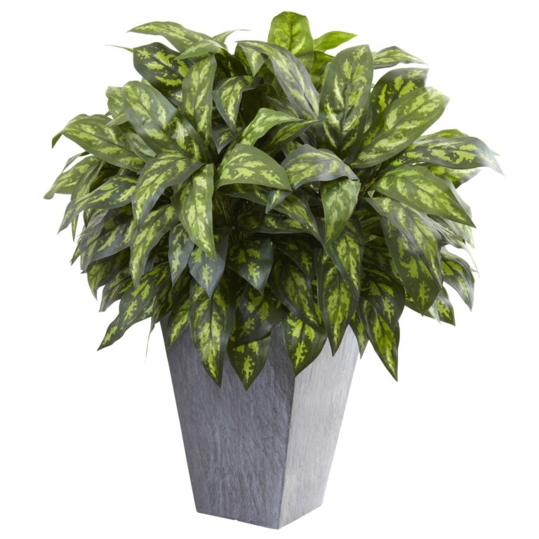 Silver King w Slate Planter