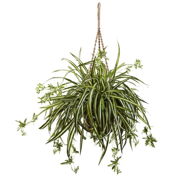Spider Plant Hanging Basket hanging basket for home decor