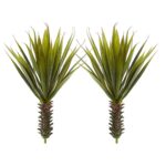 Close-up of leaf foliage texture on this Spiky Agave Succulent Plant Set of 2