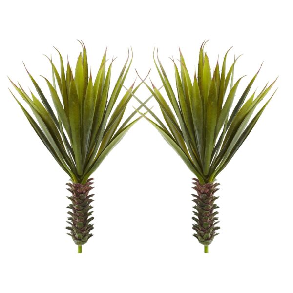 Close-up of leaf foliage texture on this Spiky Agave Succulent Plant Set of 2