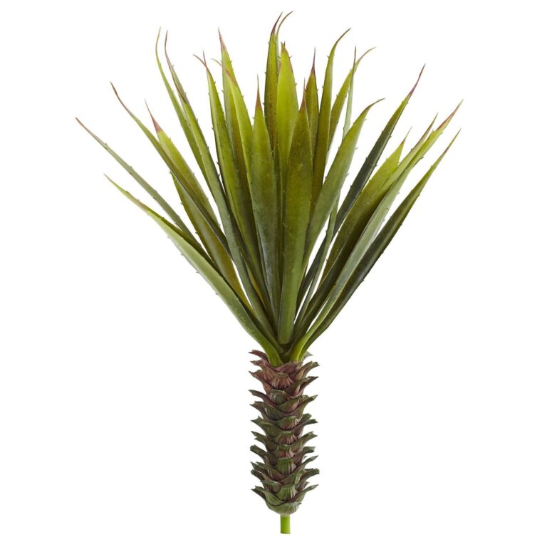 Spiky Agave Succulent Plant Set of 2