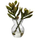 The Succulent Arrangements Set of 3 flower arrangement shown in full, highlighting bloom cluster detail