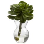 Alternate angle of the Succulent Arrangements Set of 3 flower arrangement showing full arrangement shape