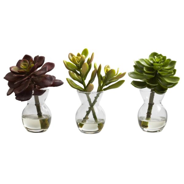 Close-up of bloom cluster detail on this Succulent Arrangements Set of 3 flower arrangement