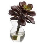 Detail view of stem and foliage layering from the Succulent Arrangements Set of 3 flower