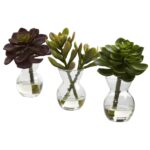 Succulent Arrangements Set of 3, flower arrangement