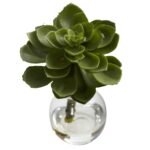 Side view of the Succulent Arrangements Set of 3 flower arrangement revealing full arrangement shape