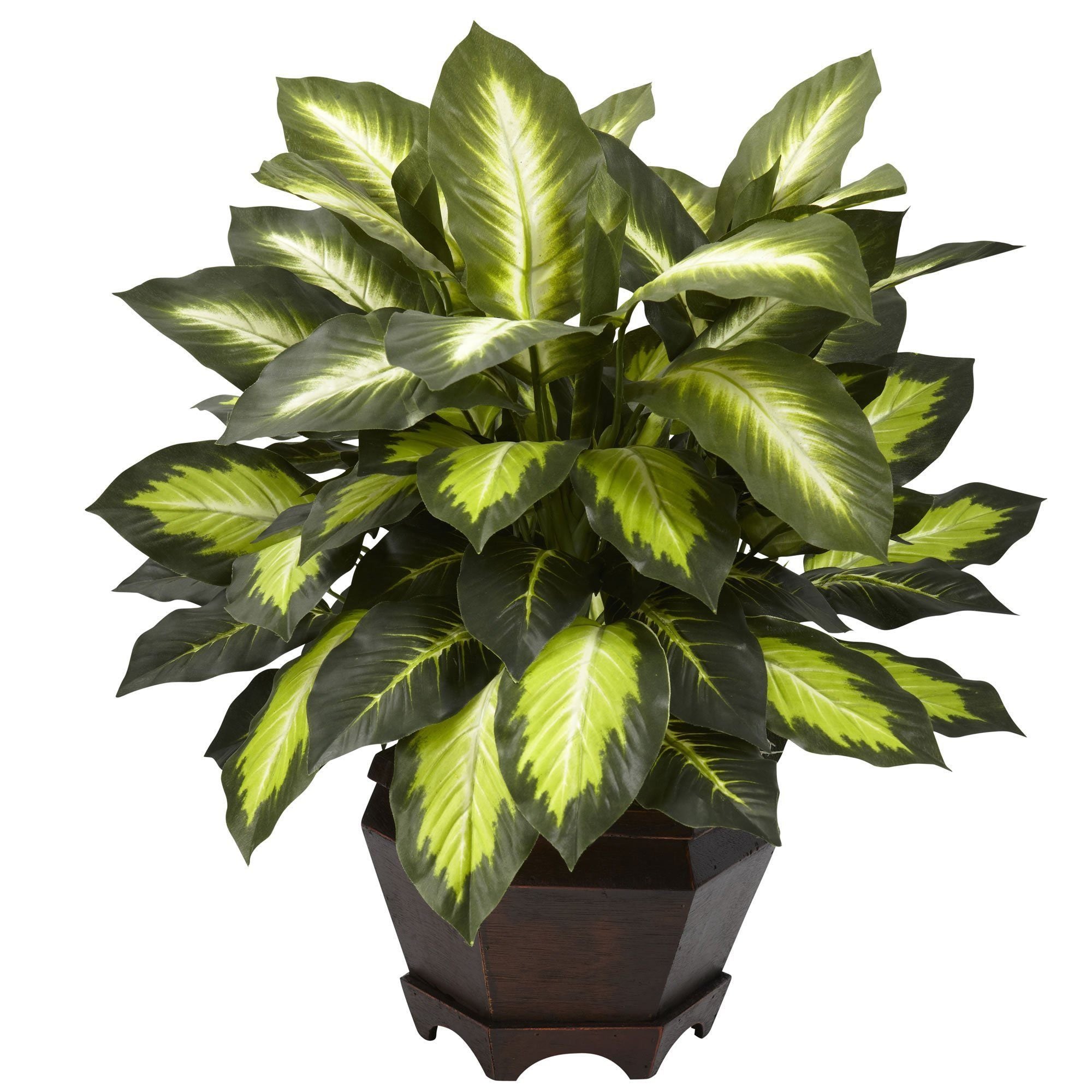 artificial-triple-golden-dieffenbachia-wwood-vase-nearly-natural-811628.jpg Triple Golden Dieffenbachia w Wood Vase
