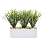 Vanilla Grass in Rectangular Planter