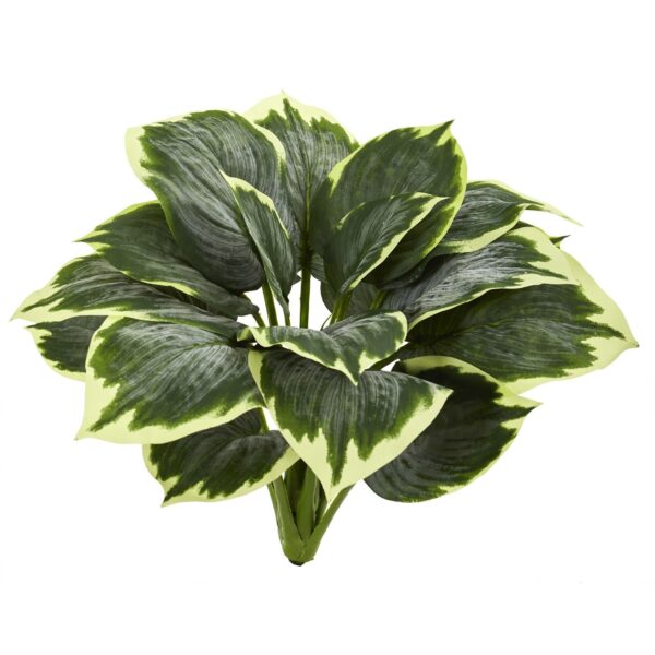 Variegated Hosta Artificial Plant Set of 6