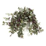 Wandering Jew w Metal Planter Silk Plant