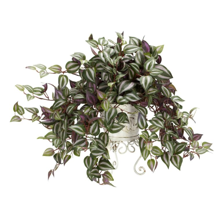 Wandering Jew w Metal Planter Silk Plant