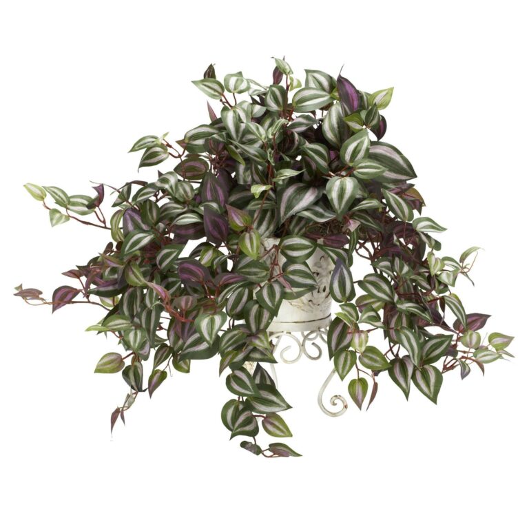 Close-up of leaf foliage texture on this Wandering Jew w Metal Planter Silk Plant