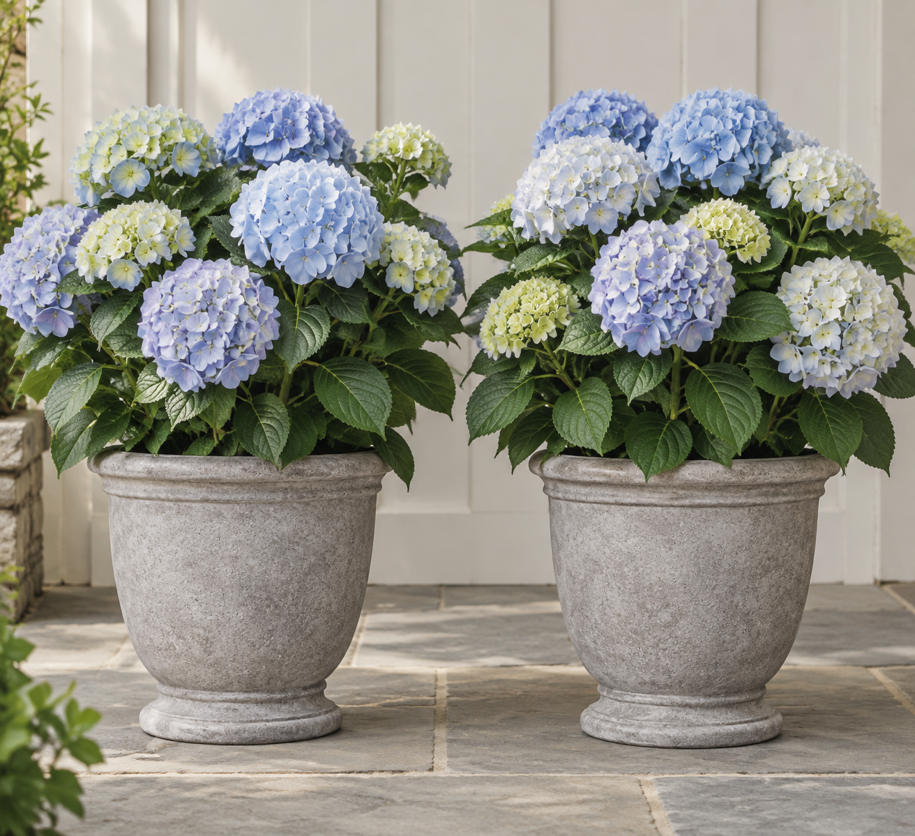 Artificial hydrangea bushes in full bloom displayed in gray stone planters