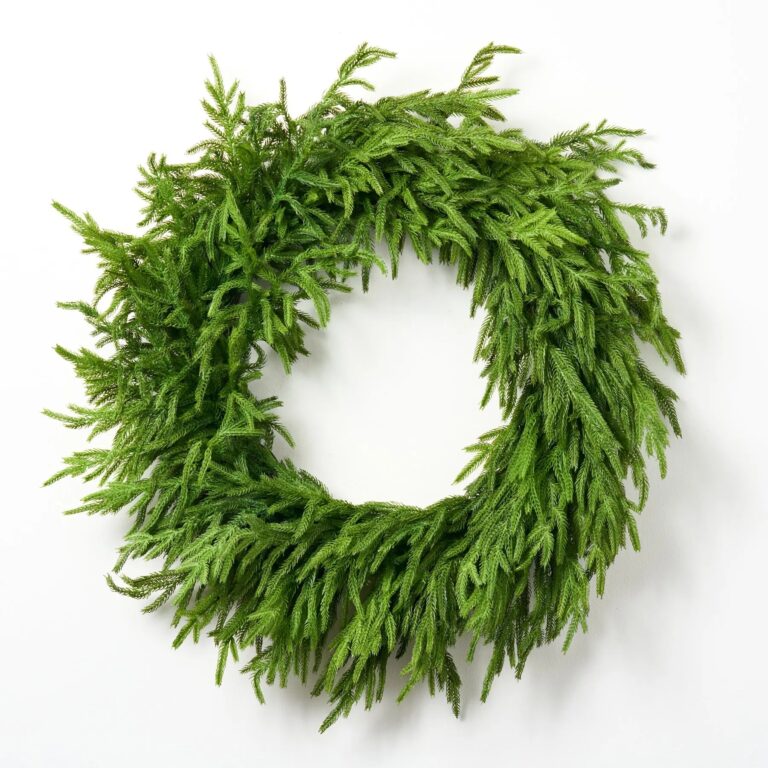 Norfolk Collection - Real Touch Norfolk Pine Front Door Wreath without Ribbon