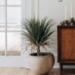 Faux Potted Palm Tree Plant in Cement Planter - 40 inch