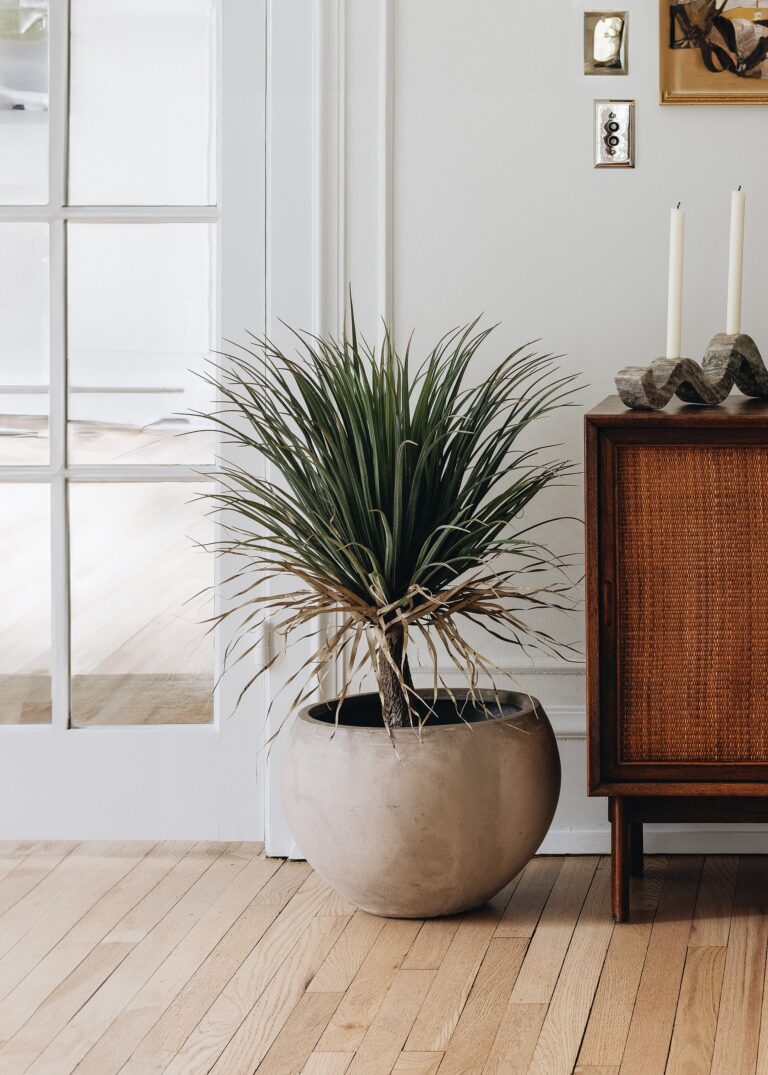 Faux Potted Palm Tree Plant in Cement Planter - 40 inch