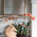 Faux Potted Orchid Arrangement in Clay Bowl - 28 inch