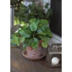 13" Real Touch Pothos Plant in Pot