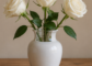 A fully glazed ceramic vase filled with clear water holding three white fresh rose stems on a neutral table