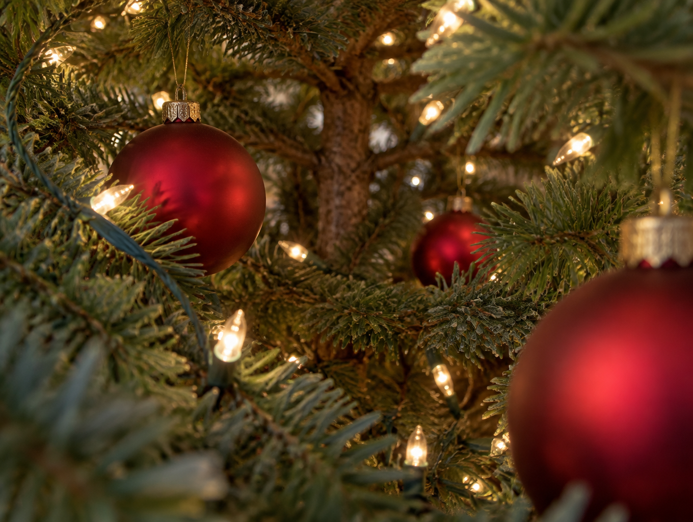 Close-up of ornament hooks deep inside tree branches with light strings in front