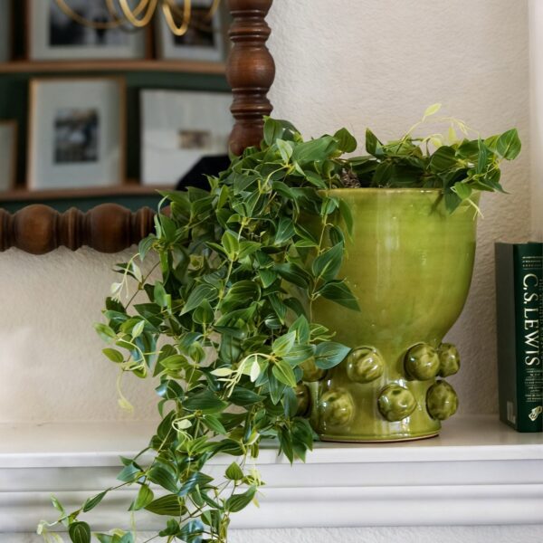 Close-up of leaf foliage texture on this Hanging Deluxe Tradescantia with Green Hobnail Houseplant Design