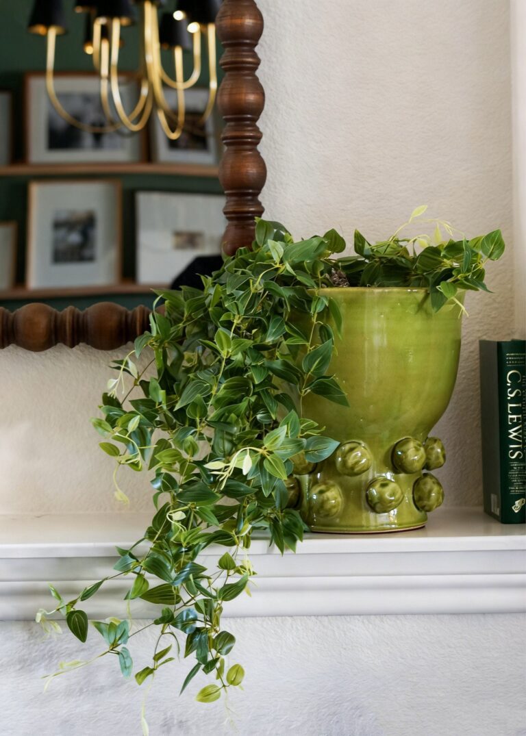 Close-up of leaf foliage texture on this Hanging Deluxe Tradescantia with Green Hobnail Houseplant Design