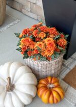 The UV Treated Indoor Outdoor Potted Fake Fall Orange shown in full, highlighting petal texture